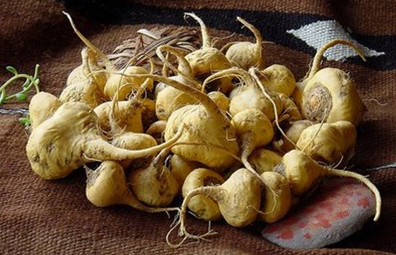 Maca Powder