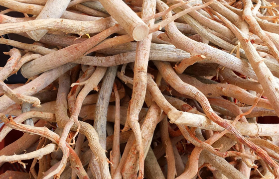 Tongkat Ali Extract