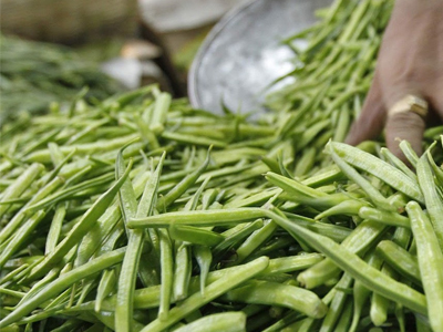 Guar Gum